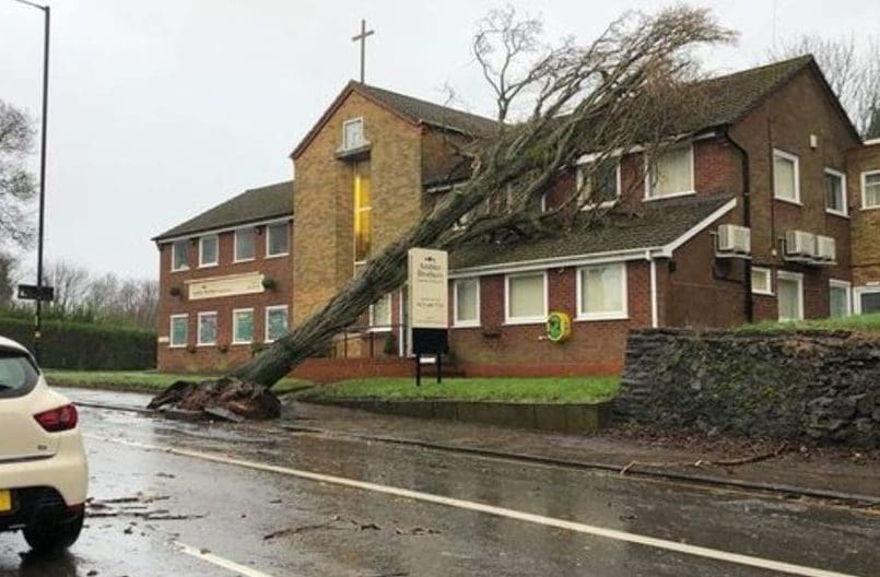 Ambler Brothers reassures families after ‘huge’ tree collapses on site
