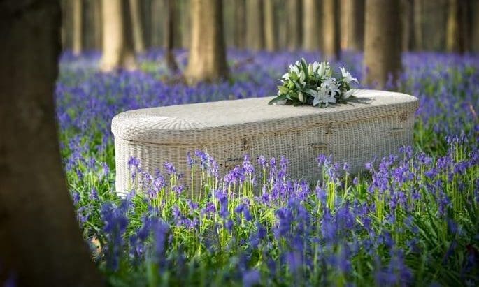 Essex company launches eco-friendly coffins