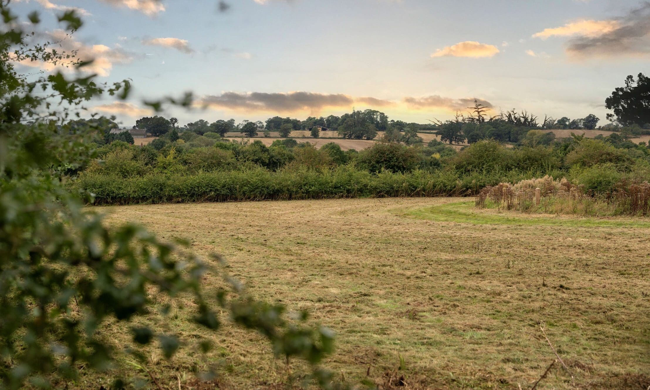 Great Glen Crematorium officially opens natural burial ground