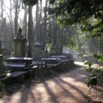 Highgate Cemetery secures £6.7m for first phase of 25-year masterplan