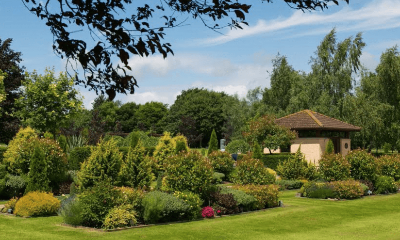 Westerleigh invests in group-wide webcasting