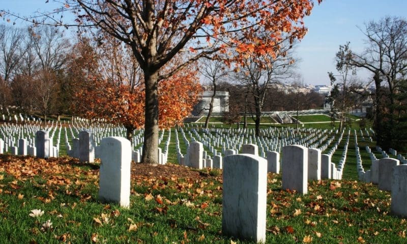 AOIC responds to £200 cremation fine