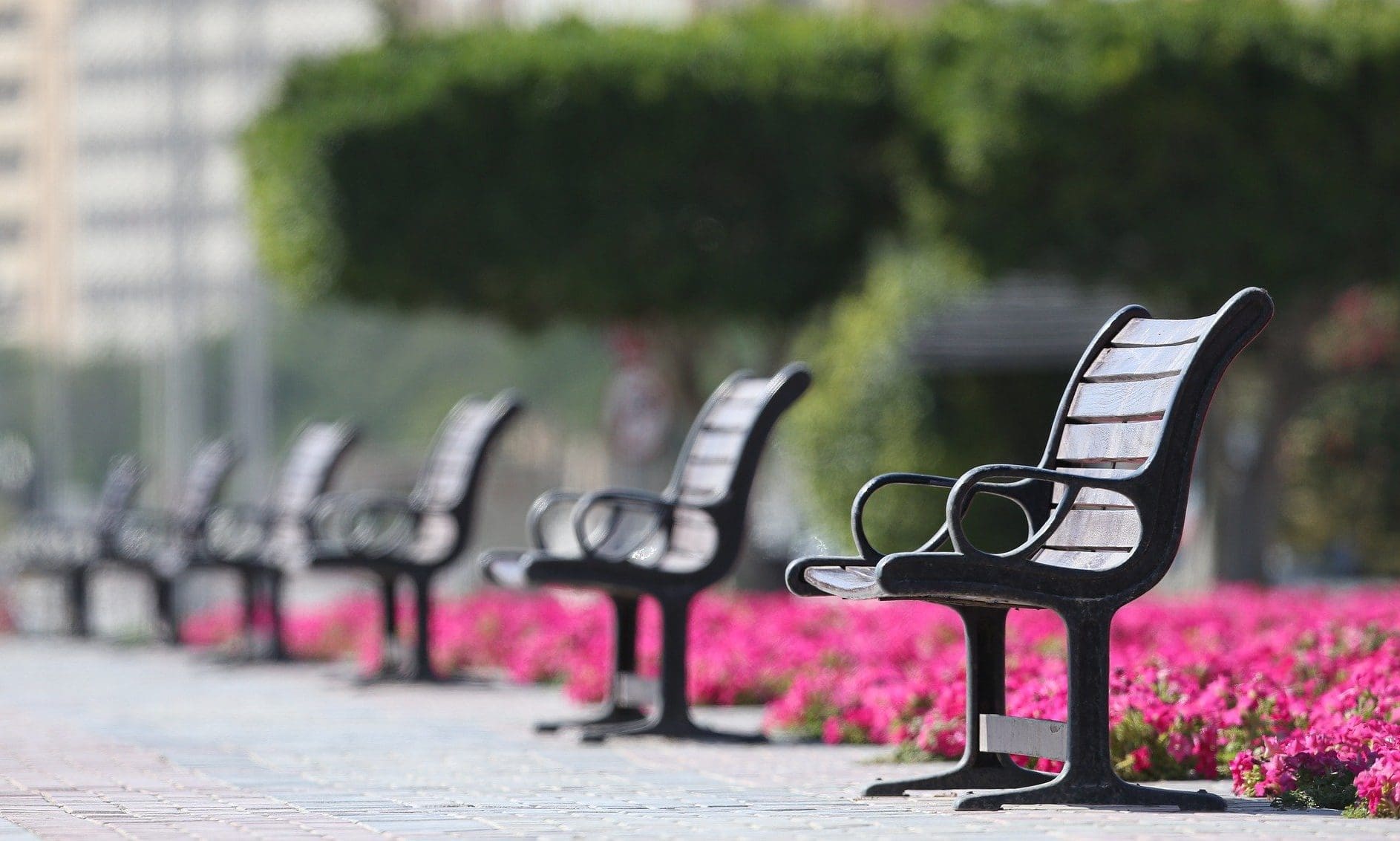 Bradford Council to ease funeral restrictions for mourners