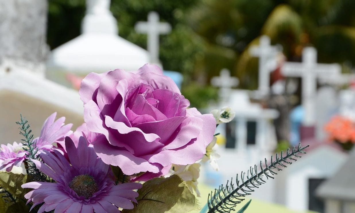 SAIF claim SunLife Cost of Dying report is’ ‘seriously flawed’