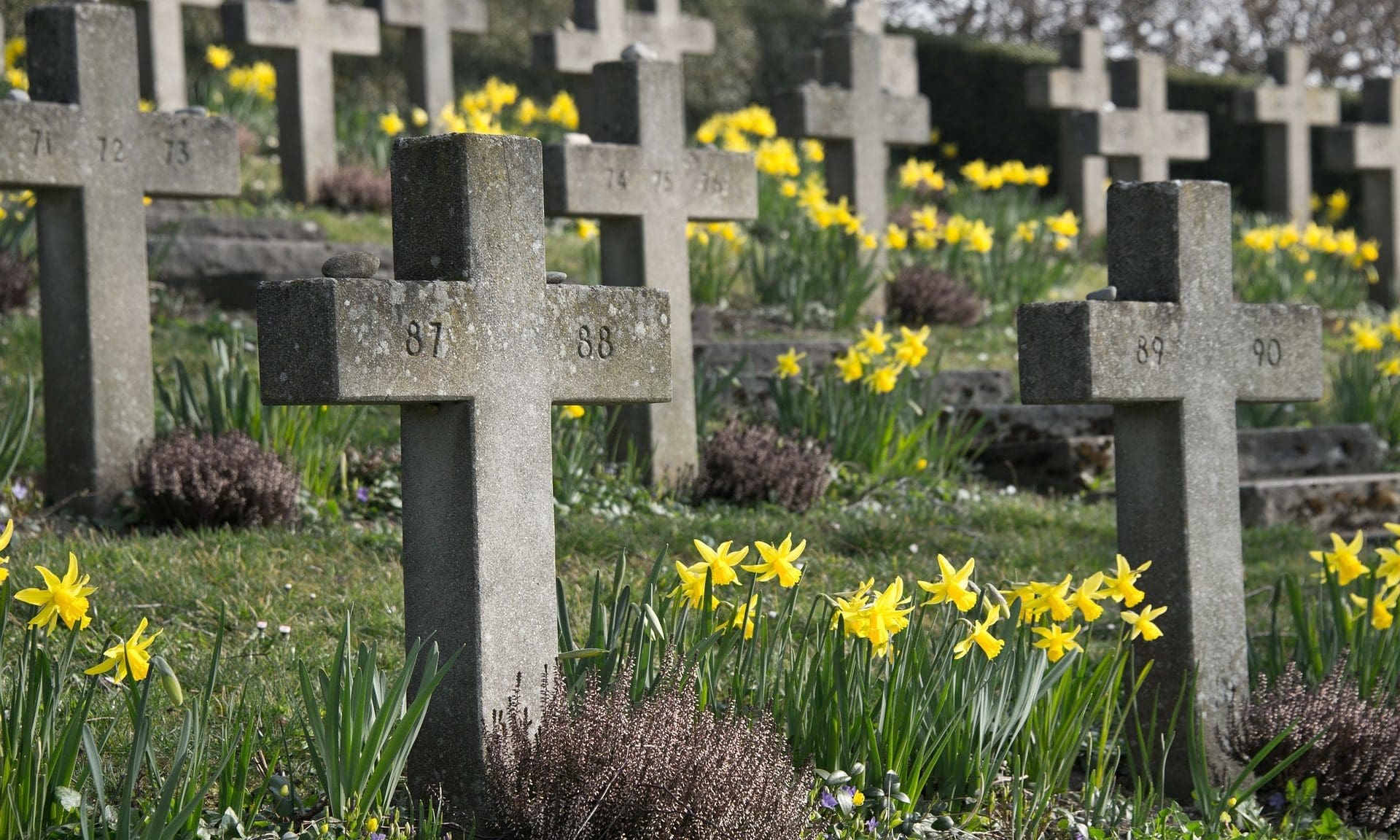 Penryn and Falmouth to place flowers on behalf of isolating mourners