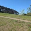 Moray Council’s new Elgin cemetery to open by early 2027