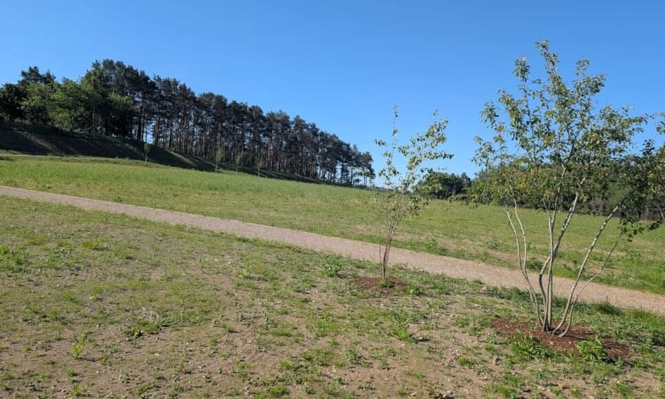 Moray Council’s new Elgin cemetery to open by early 2027