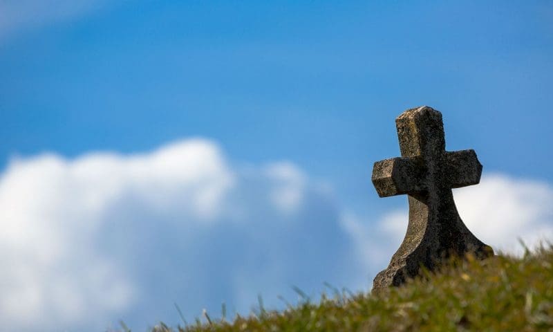Death rates rose by 5.3% in 2015