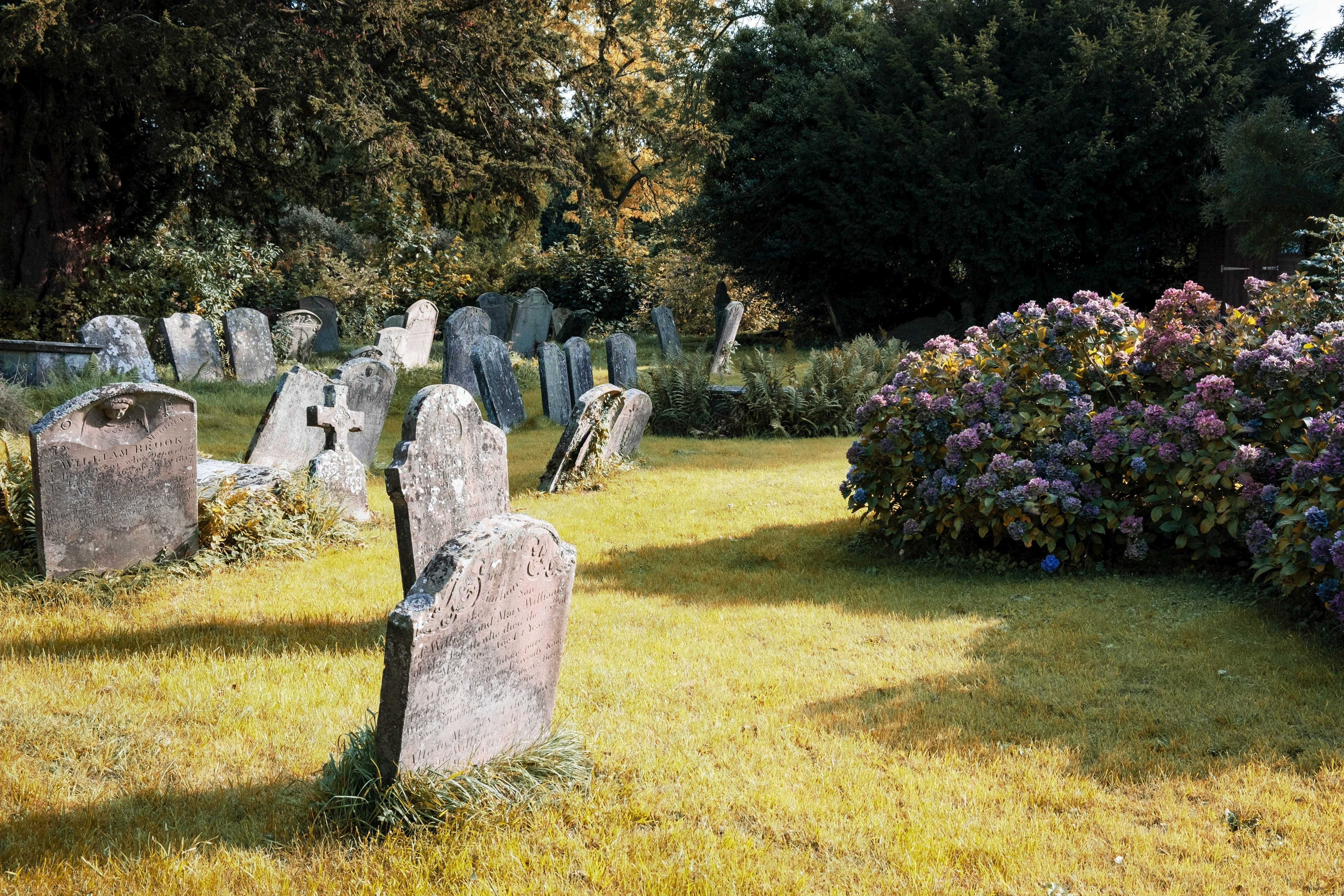 Law Commission proposes new safeguards for reuse of old graves
