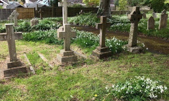 EDDC starts maintenance work on Sidmouth Cemetery