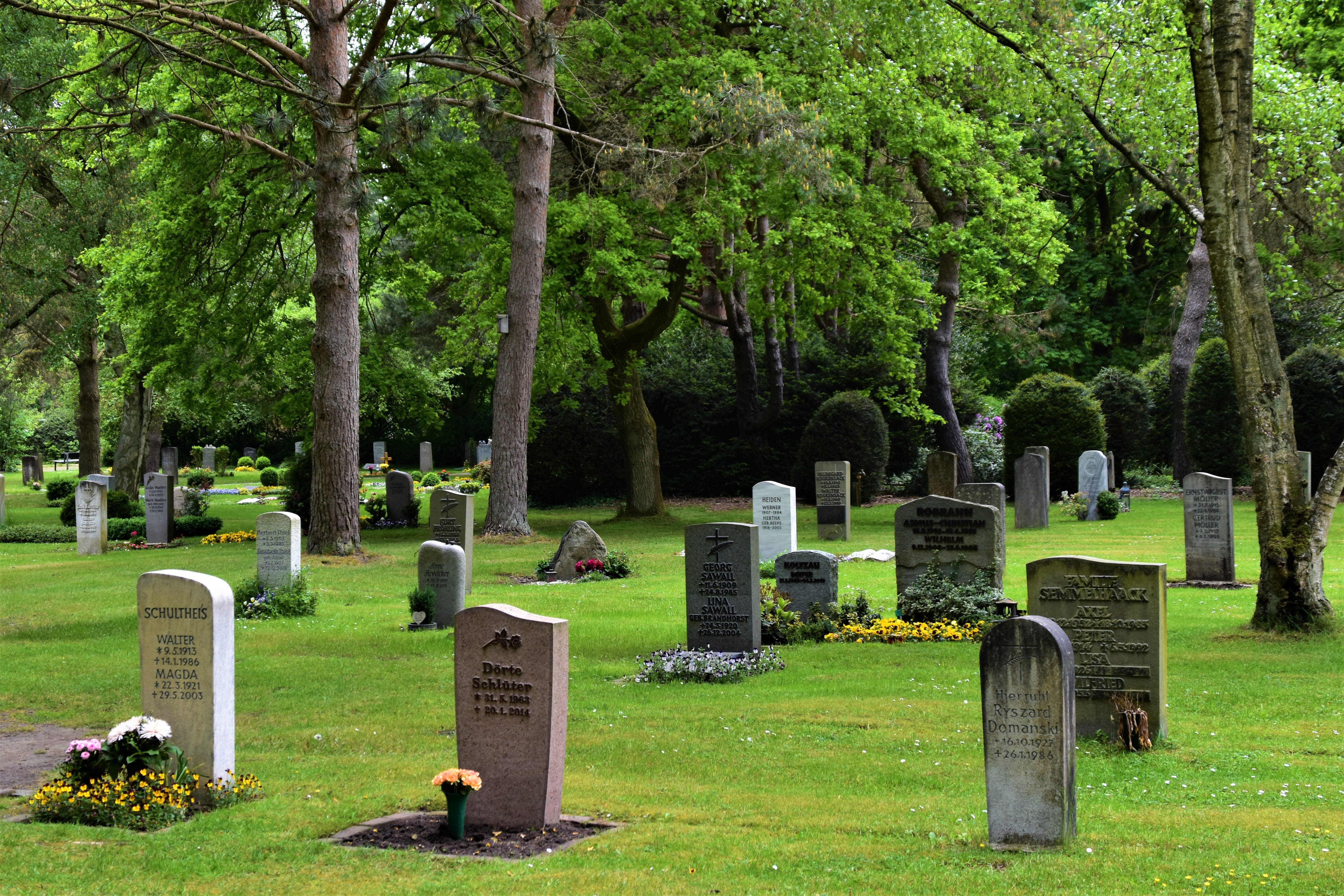 Funeral industry warns of risks in burial reform plans